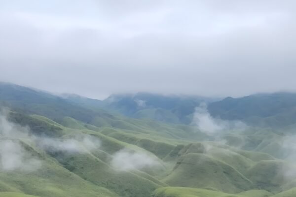 Dzukou Valley: Everything To Know About Northeast India’s Hidden Paradise of Flowers & Trails