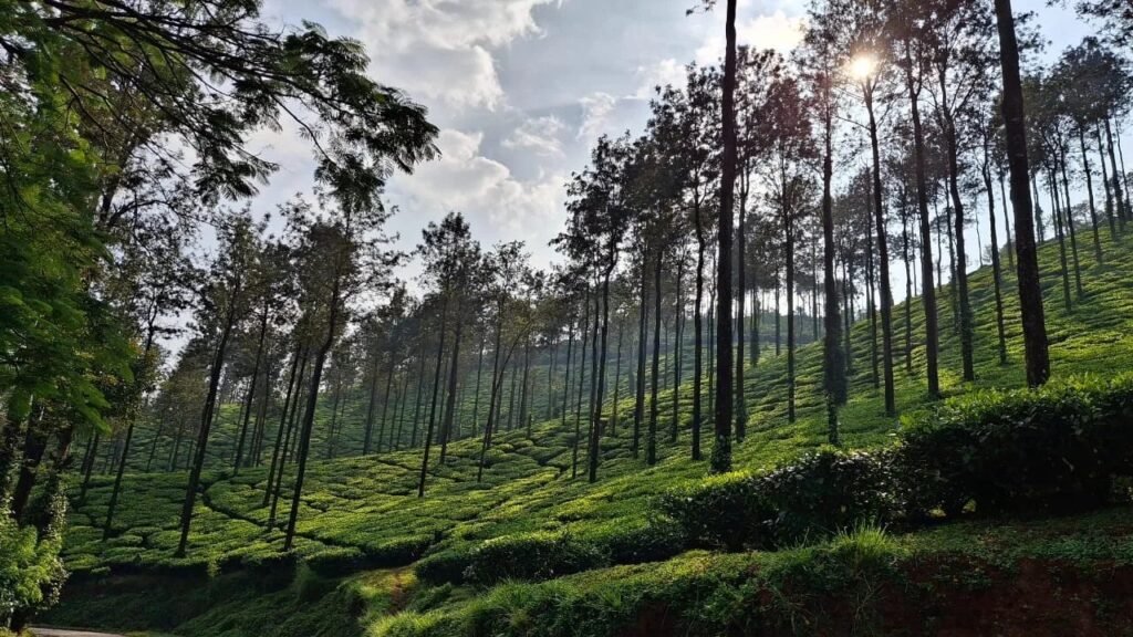 Chikmagalur