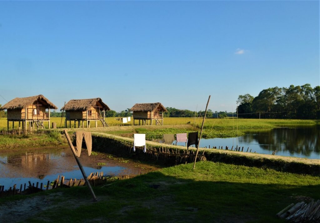 Majuli Island